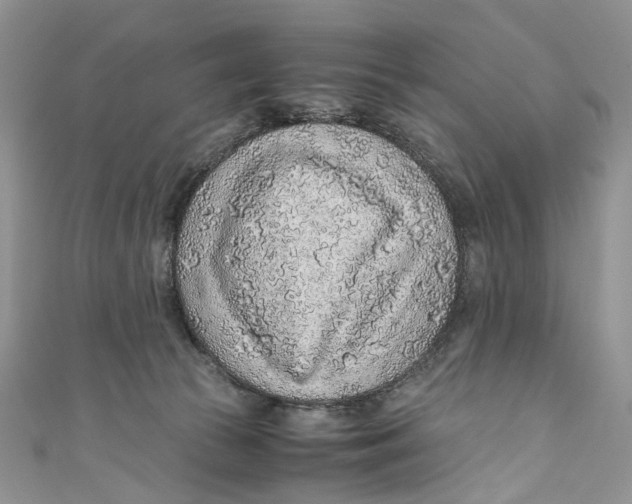 X0000110910177200907091444