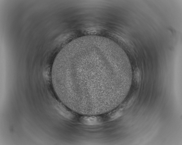 X0000110910181200907091444