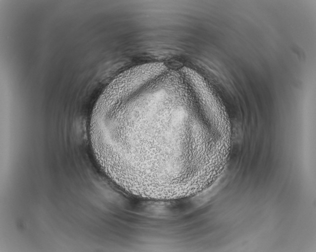 X0000110910182200907091444