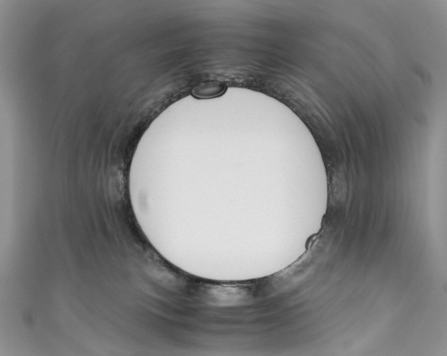 X0000110910183200907091444