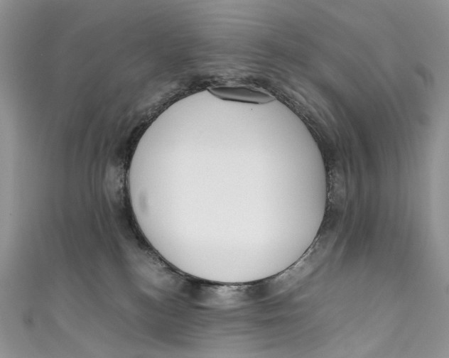 X0000110910184200907091444