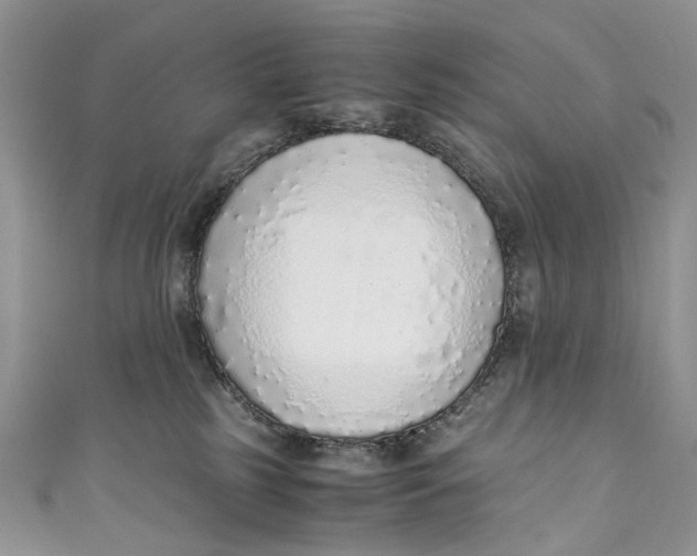 X0000110910185200907091444