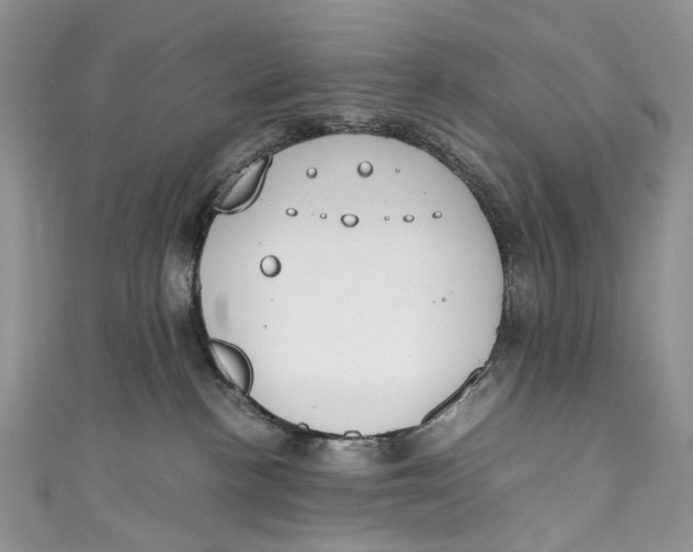 X0000110910188200907091444