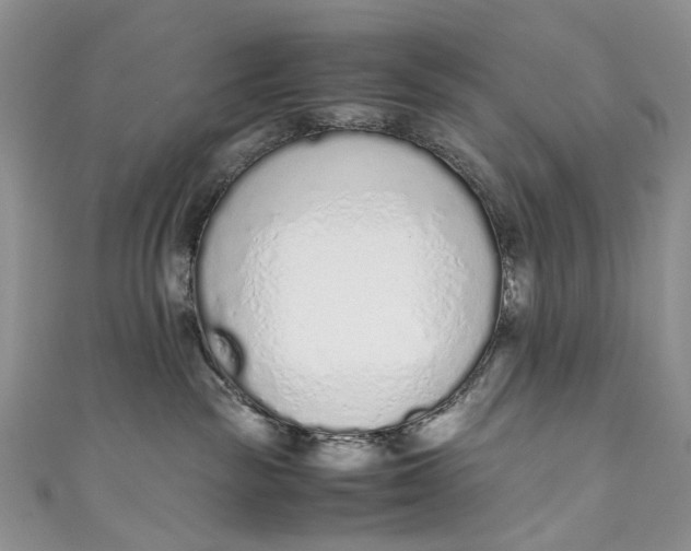 X0000110910189200907091444