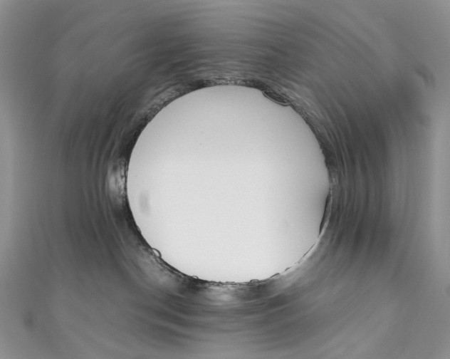 X0000110910190200907091444