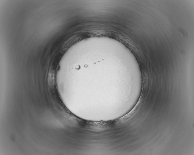 X0000110910191200907091444