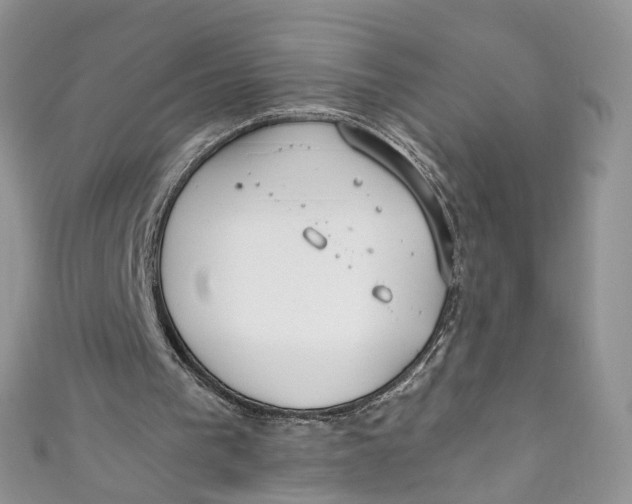 X0000110910193200907091443