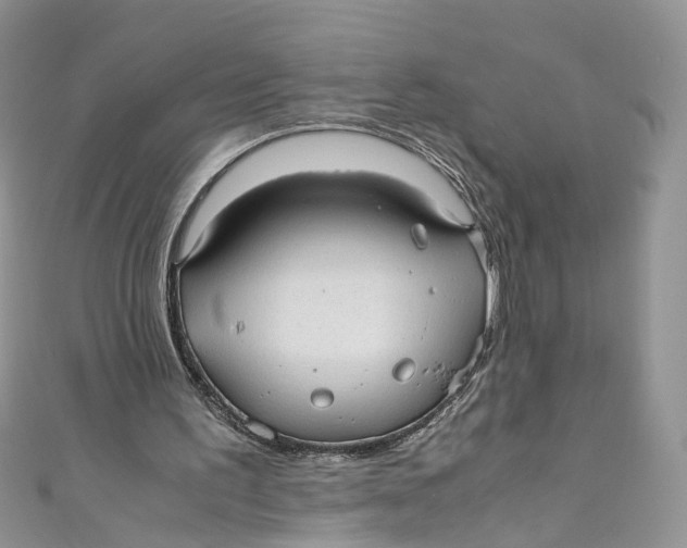 X0000110910195200907091443