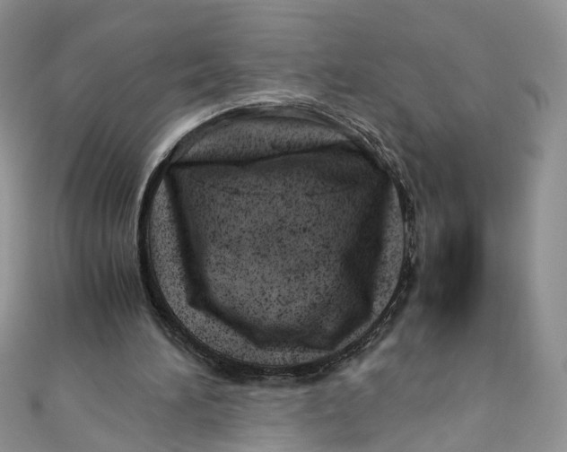 X0000110910196200907091443