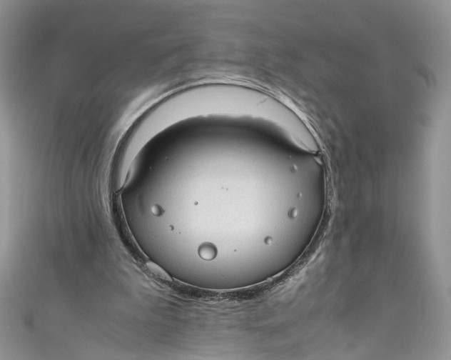 X0000110910199200907091443