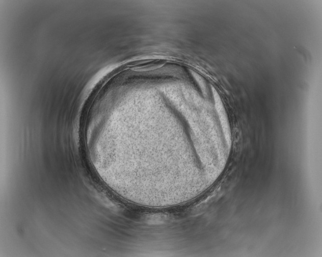 X0000110910200200907091443