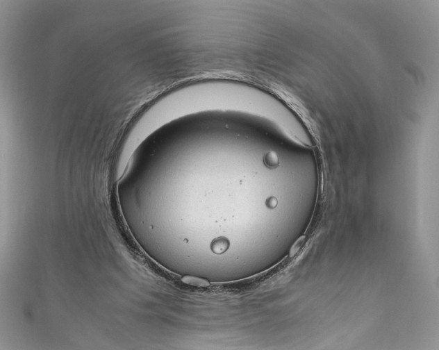 X0000110910201200907091443