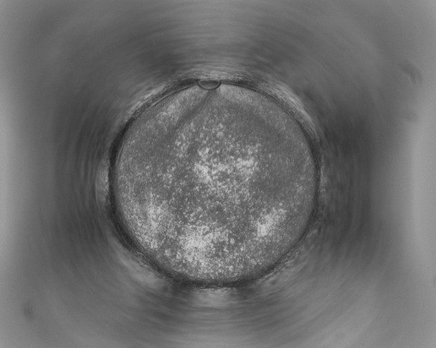 X0000110910202200907091443