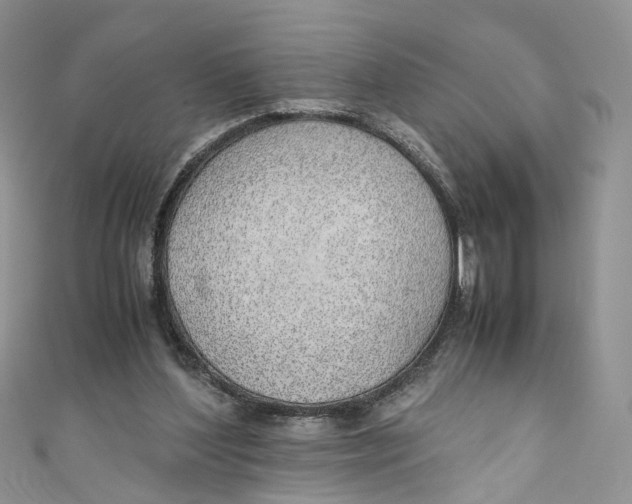 X0000110910204200907091443