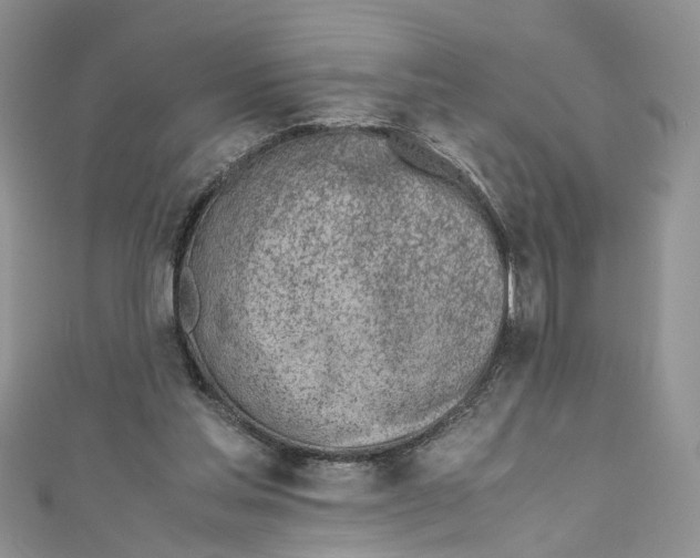 X0000110910205200907091443