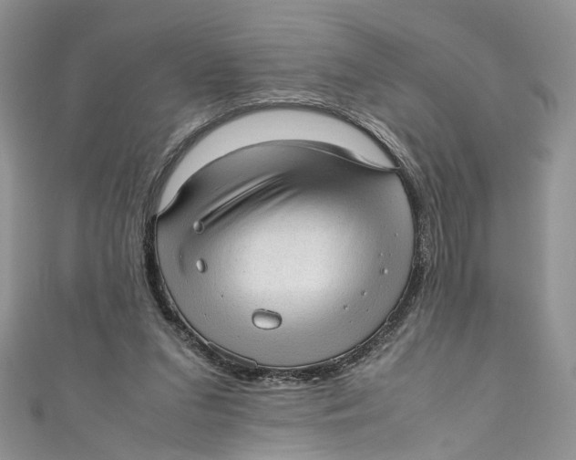 X0000110910207200907091443