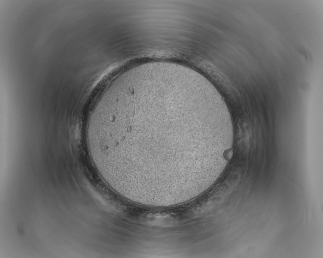 X0000110910208200907091443