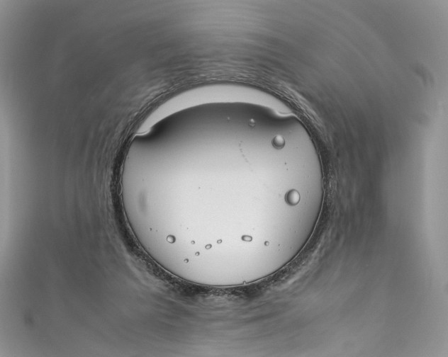 X0000110910209200907091443