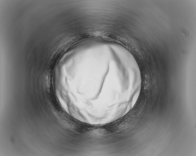 X0000110910210200907091443