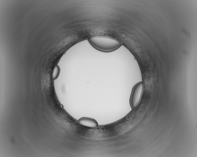 X0000110910211200907091443