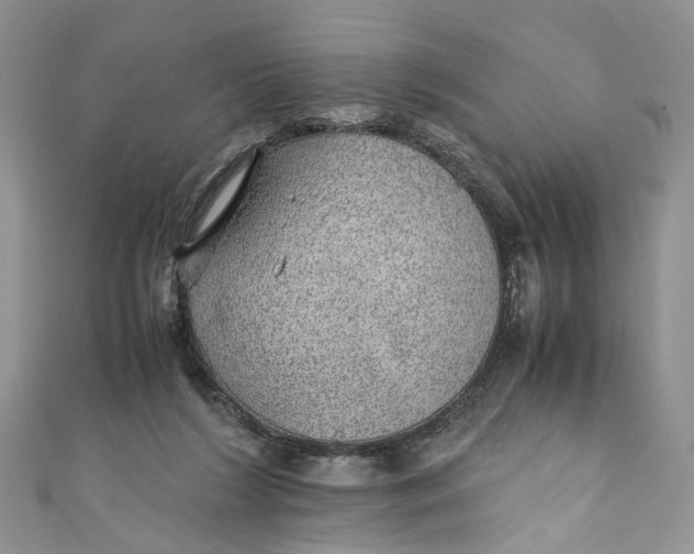 X0000110910212200907091443