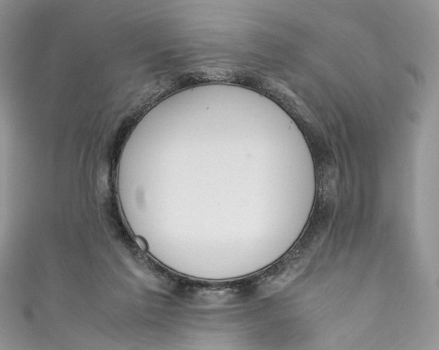 X0000110910213200907091443