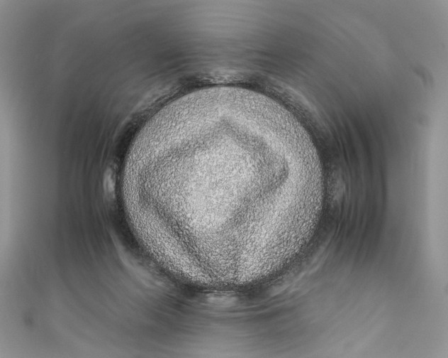 X0000110910214200907091443