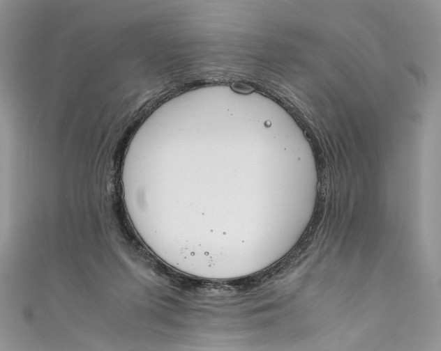 X0000110910215200907091443