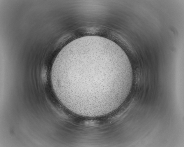 X0000110910216200907091443