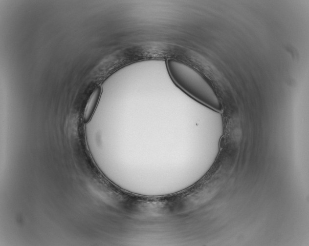 X0000110910217200907091443