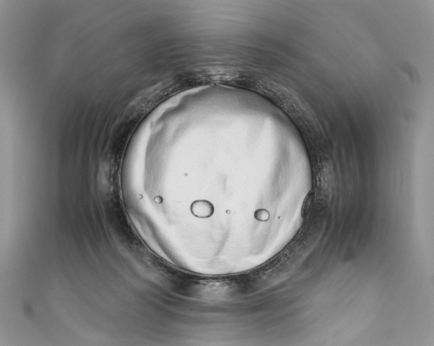 X0000110910218200907091443