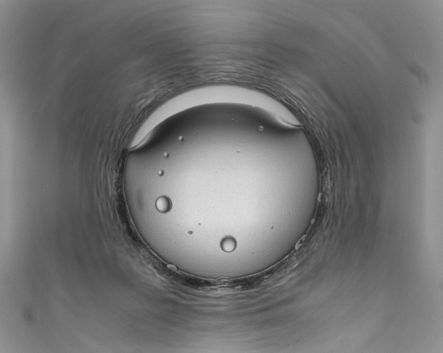 X0000110910219200907091443