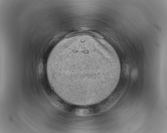 X0000110910220200907091443