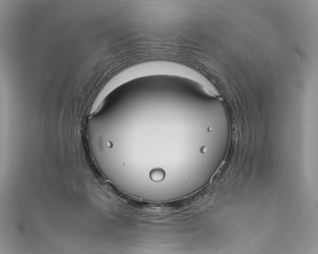 X0000110910221200907091443