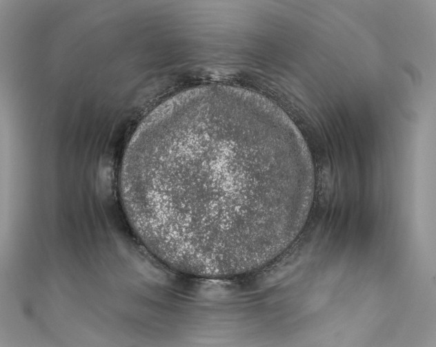 X0000110910222200907091443