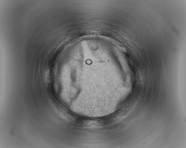 X0000110910224200907091443