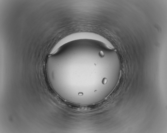 X0000110910225200907091443