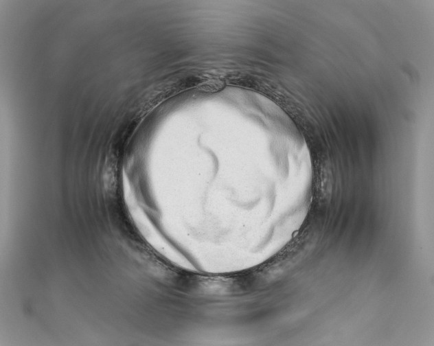 X0000110910226200907091443