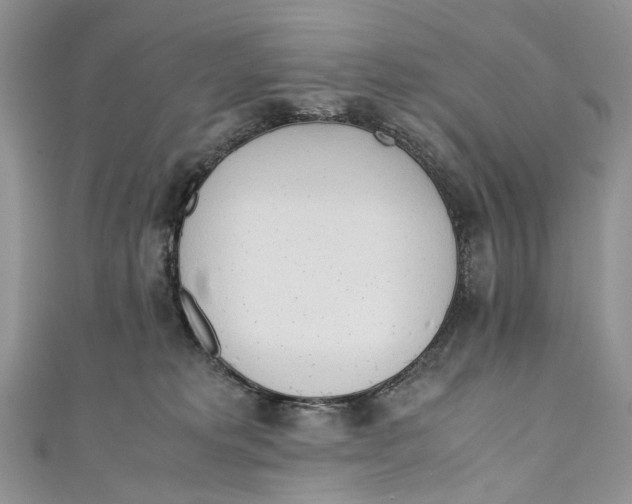 X0000110910229200907091443