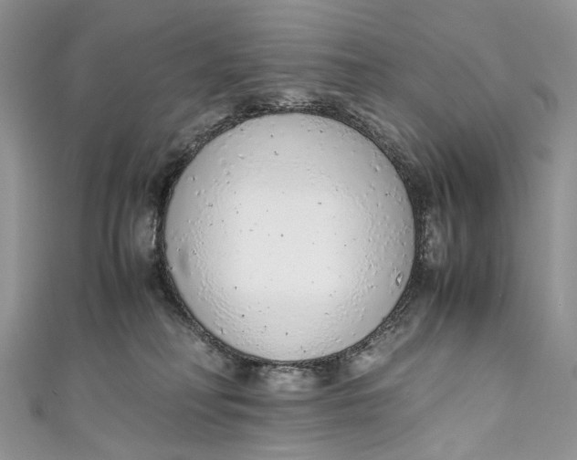 X0000110910230200907091443