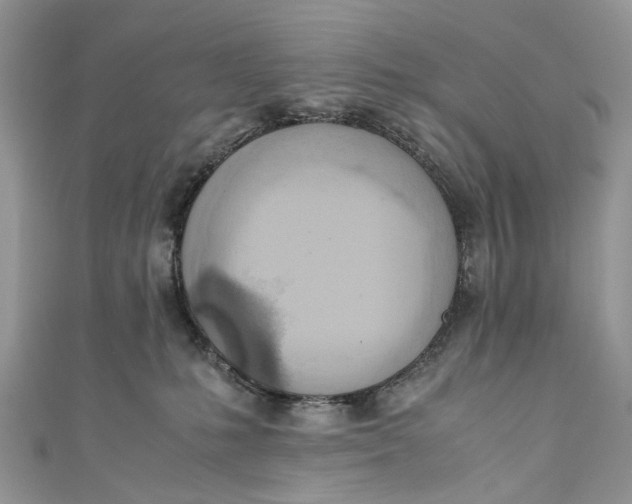 X0000110910231200907091443