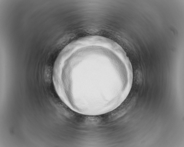 X0000110910234200907091443