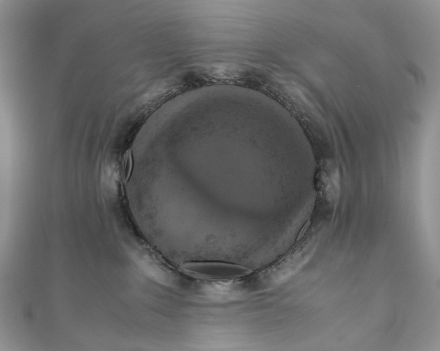 X0000110910235200907091443