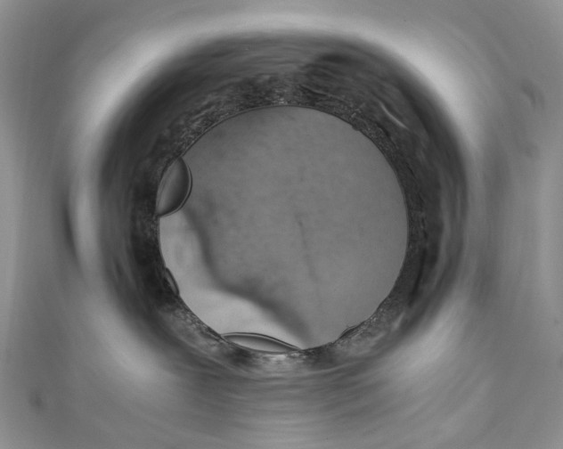 X0000110910239200907091443