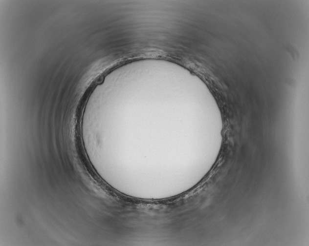 X0000110910242200907091442