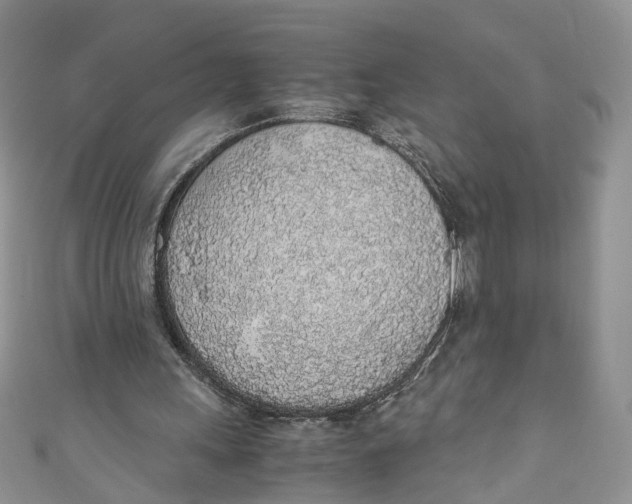 X0000110910243200907091442