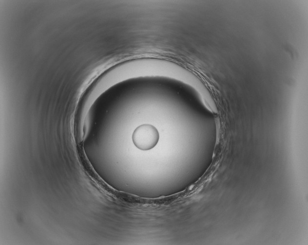 X0000110910244200907091442