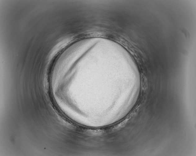 X0000110910245200907091442