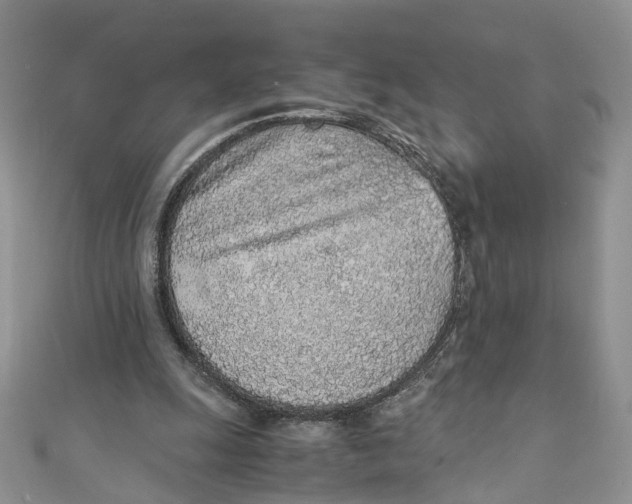 X0000110910247200907091442