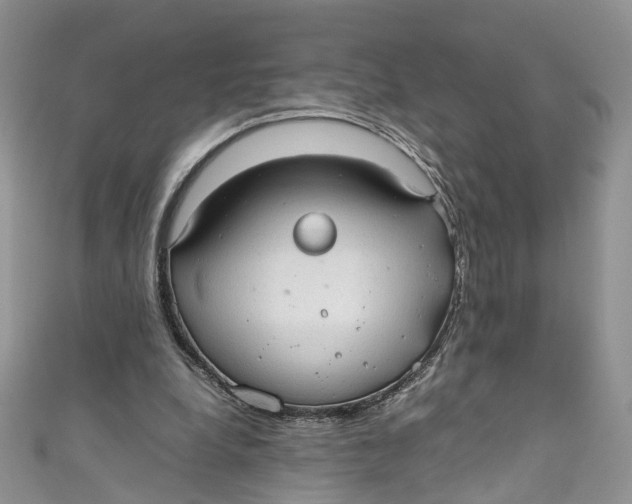 X0000110910248200907091442